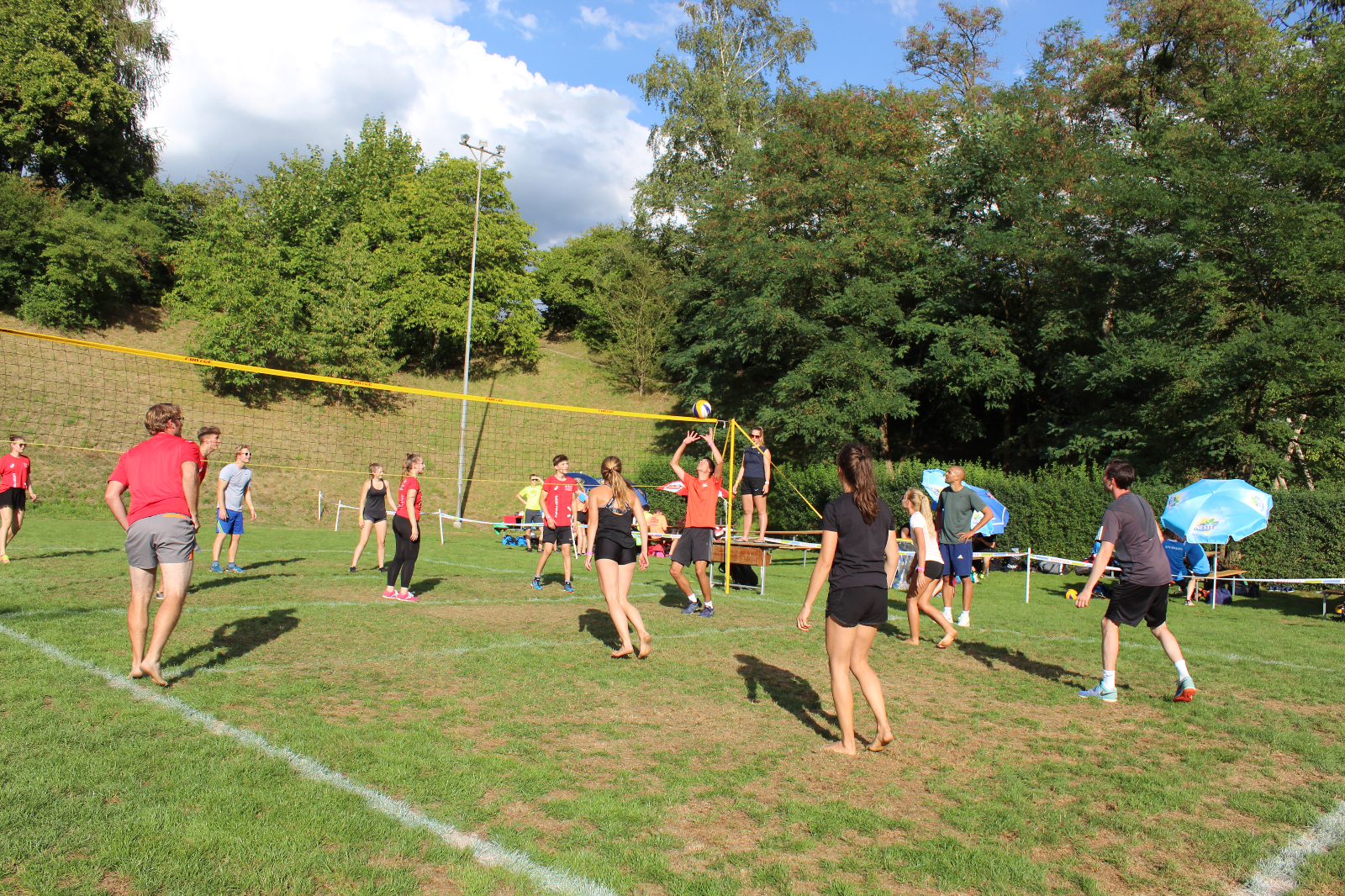 Volley  (127)